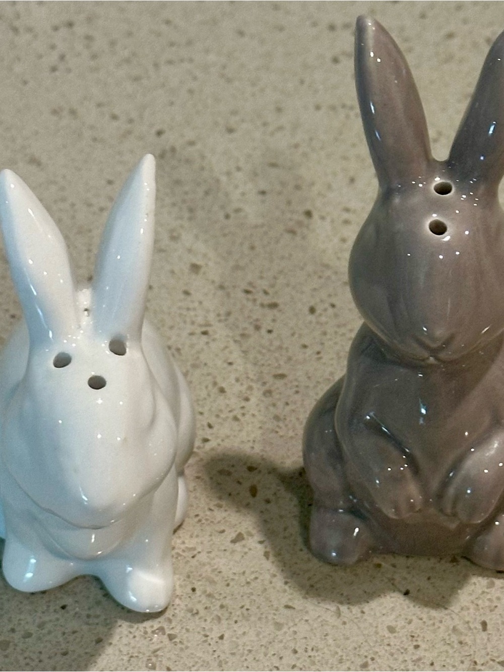 Ceramic Bunny Salt and Pepper Shaker Set - White & Gray